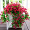 2 PCS Artificial Faux Hanging Plants Flowers for Outdoor Outside Spring Decoration(Hotpink)